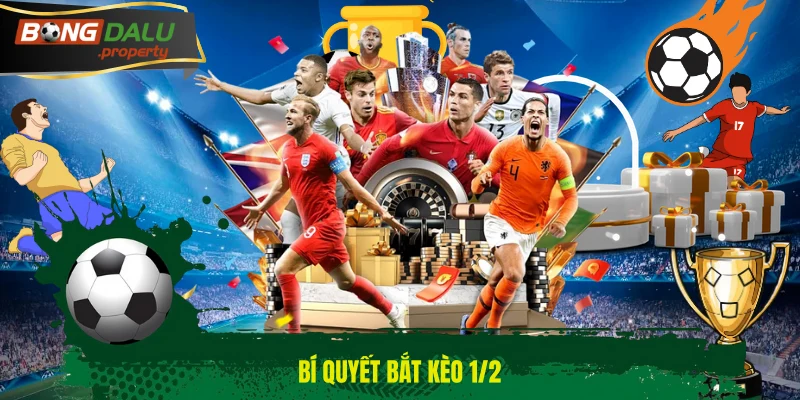Bí quyết bắt kèo 1/2