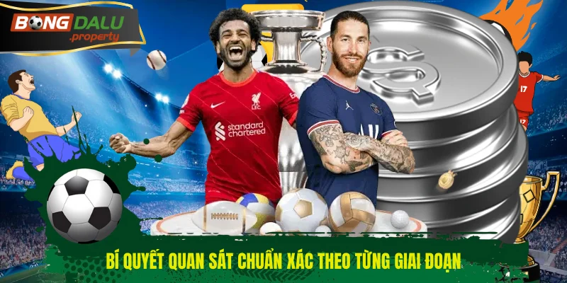 Bí quyết quan sát chuẩn xác theo từng giai đoạn