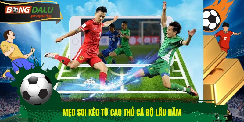 Mẹo soi kèo từ cao thủ cá độ lâu năm