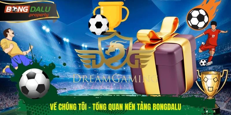 Tổng hợp các yếu tố định hình BONGDALU